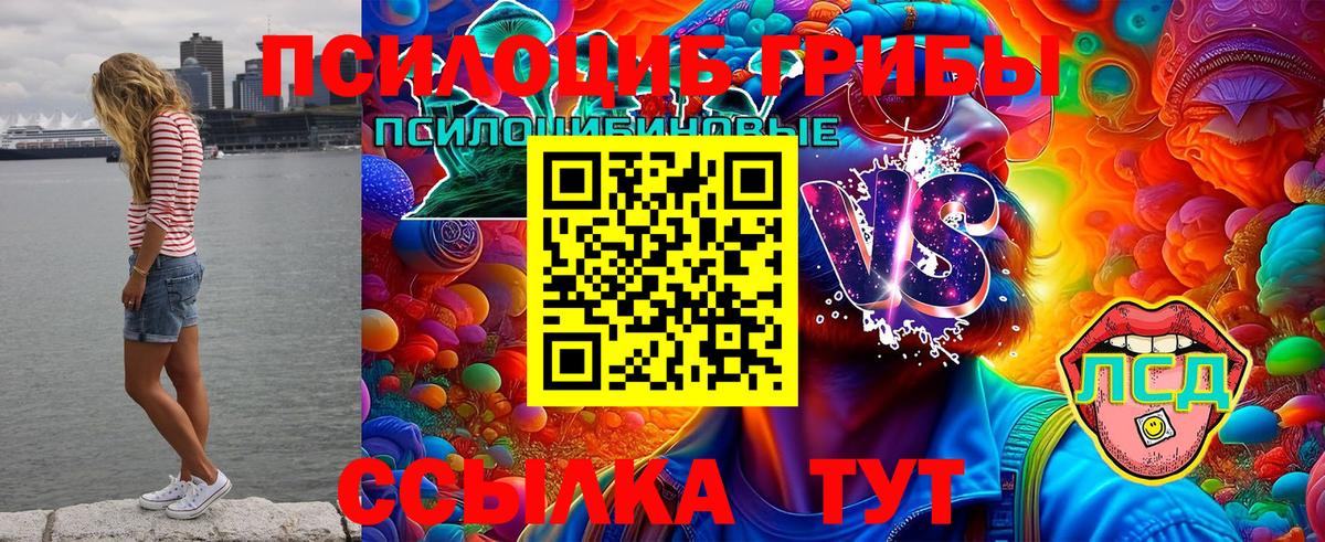 Псилоцибиновые грибы мухоморы Чебаркуль